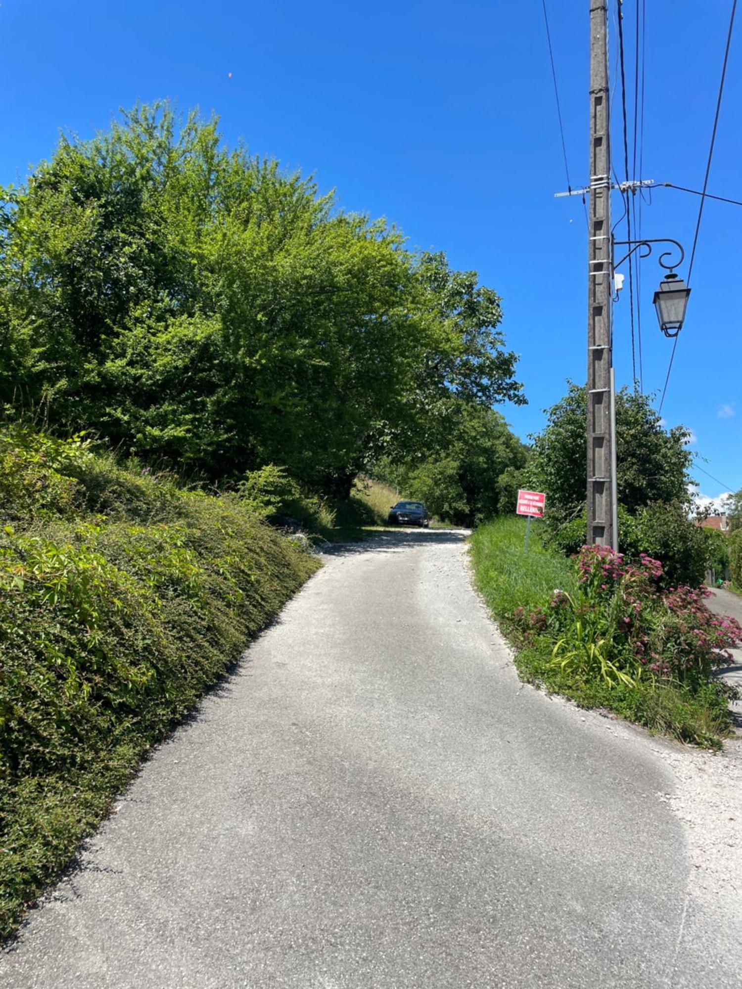 דוסאר Rare 2 Bedroom With Private Beach On Lake Annecy מראה חיצוני תמונה